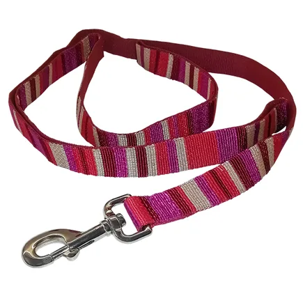 Coastal Pet Attire Weave КОСТАЛ повідець для собак, 2.5смХ1.2м Смужка