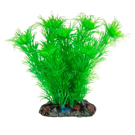 Aquatic Plants (Акватик Плэнтс) Акваріумна рослина, 13 см х 8 шт/уп. арт.1393