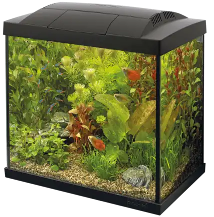 Акваріумний стартовий набір SuperFish Start 50 Aquarium Kit Black (A4050281)