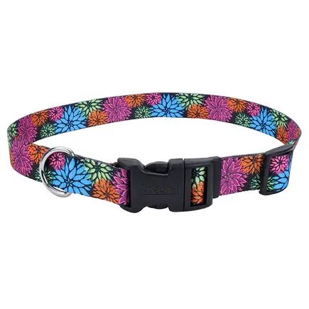 Coastal Pet Attire Styles КОСТАЛ СТАЙЛС нашийник для собак, 2х35-50см Дикі квіти