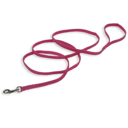 Coastal Sunburst Leash КОСТАЛ САНБАСТ повідець для собак, 1смХ1.8м Фламінго