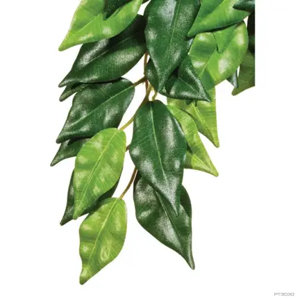 Рослина ExoTerra для тераріуму пластик Ficus Silk текстиль 15x31x4 см