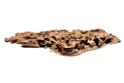Дерево зі стільниками HONEYCOMB WOOD X LARGE (A4080375)