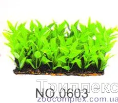 Aquatic Plants (Акватик Плэнтс) Акваріумна рослина, (6х3х6 см) х 6 шт/уп.