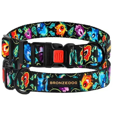 Нашийник для собак BronzeDog Urban Folk нейлоновий із пластиковою пряжкою чорний S