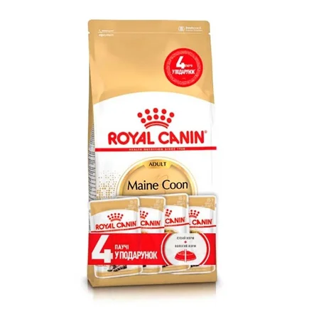 Сухий корм Royal Canin MAINECOON ADULT для котів породи Мейн-кун 2 кг + 4 Wet Maine Coon Adult Gravy 85г