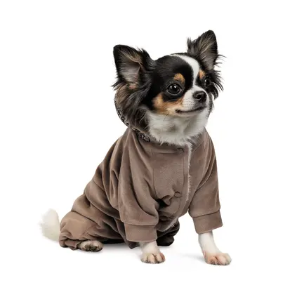 Костюм Pet Fashion «Soft» для собак, розмір M, коричневий (лімітована серія): додаткове фото 2