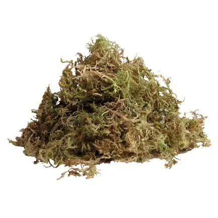 Живий мох Komodo Habitat Moss 1,5л (83003): додаткове фото 2