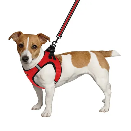 Шлея для собак Bronzedog Mesh Vest 3D сітка червона 3XS: додаткове фото 3