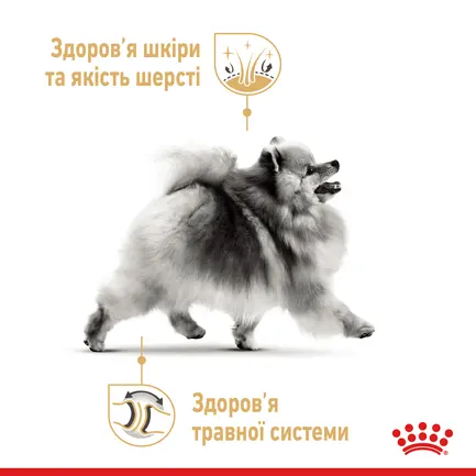Вологий корм Royal Canin POMERANIAN LOAF для дорослих собак породи Померанський шпіц 85 г: додаткове фото 4