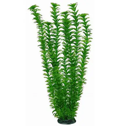 Акваріумна рослина Aquatic Plants, 46 см х 6 шт / уп (4686)