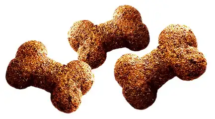 Ласощі для собак Brit Care Dog Crunchy Cracker Insects для підтримки ваги, комахи, індичка та яблуко, 200 г: додаткове фото 2