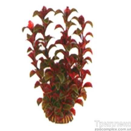 Aquatic Plants (Акватик Плэнтс) Акваріумна рослина, 25 см х 8 шт/уп.