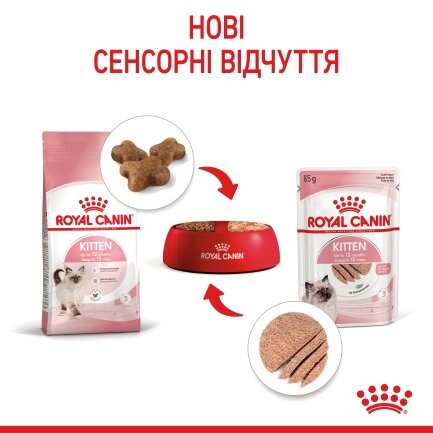 Вологий корм Royal Canin KITTEN LOAF для кошенят всіх порід 85 г — Фото 3