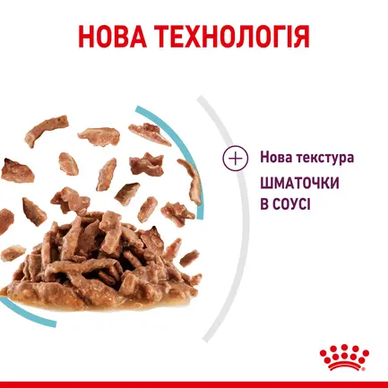 Вологий корм Royal Canin SENSORY FEEL GRAVY для котів всіх порід 85 г: додаткове фото 3