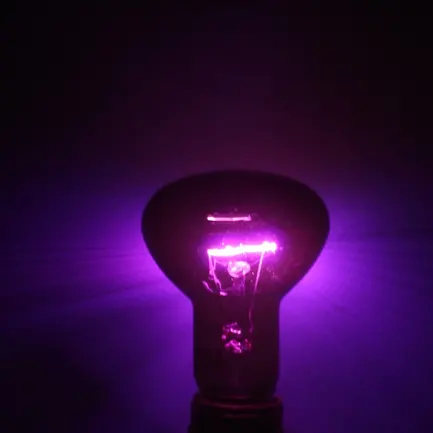Нічна лампа з підігрівом Repti-Zoo Moonlight Heat 35W (D63035): додаткове фото 5