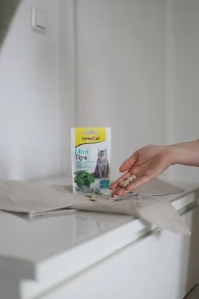 Вітамінізовані ласощі для котів GimCat Cat-Mintips з котячою м'ятою, 40 г: додаткове фото 3