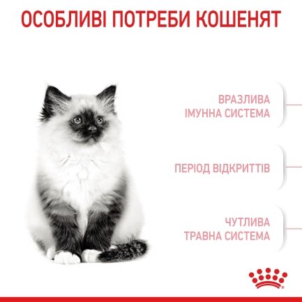 Сухий корм Royal Canin KITTEN для кошенят всіх порід 8кг+2кг — Фото 4