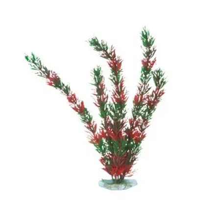 AquatiC Plants (Акватик Плентс) Акваріумна рослина 20cм, AP -003 - 8