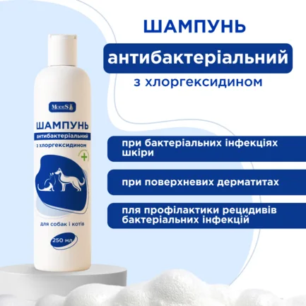 Шампунь антибактеріальний з хлоргексидином для собак і котів, 250 мл, MODES: додаткове фото 2