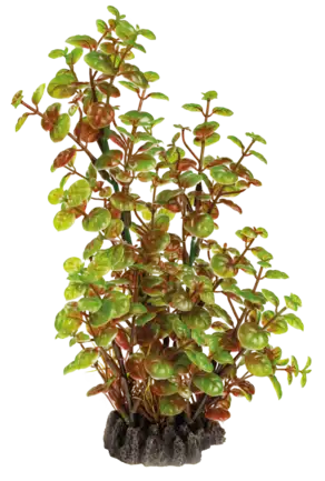 Штучна рослина для акваріума SF ART PLANT 25CM ROTALA (A4070850)
