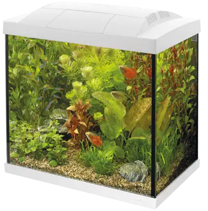Акваріумний стартовий набір SuperFish Start 30 Aquarium Kit White (A4050277)