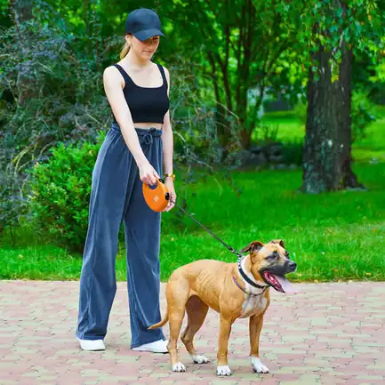 Повідець-рулетка для собак WAUDOG R-leash з контейнером для пакетів, світловідбивна стрічка, L, до 40 кг, 5 м, помаранчевий: додаткове фото 3
