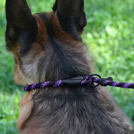 Повідець-Зашморг для Собак Bronzedog Active з Альпіністського Шнура Світловідбиваючий Чорно-Фіолетовий S/M: додаткове фото 8