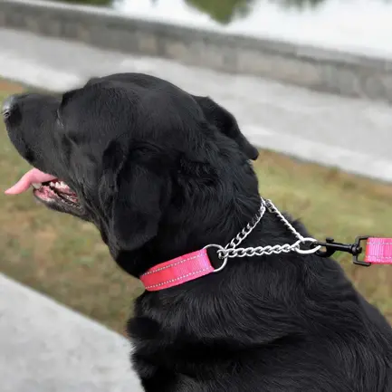 Нашийник для Собак Мартингейл BronzeDog Active нейлоновий зі світловідбиттям Рожевий S: додаткове фото 6