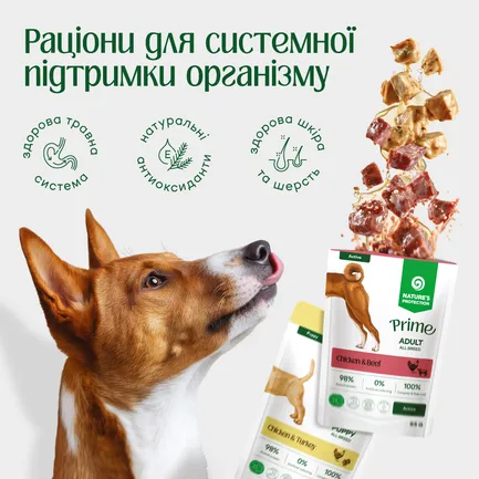 Nature's Protection Prime Immunity Support Adult Dogs Chicken and Lamb Вологий корм для собак для зміцнення імунітету з куркою і ягням, 500 г: додаткове фото 2