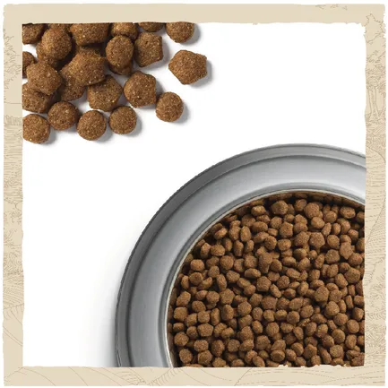 Сухий корм DOG CHOW Puppy <1 для цуценят з ягням 2,5 кг: додаткове фото 10