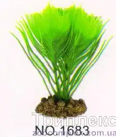 Aquatic Plants (Акватик Плэнтс) Акваріумна рослина, 16 см х 8 шт/уп.