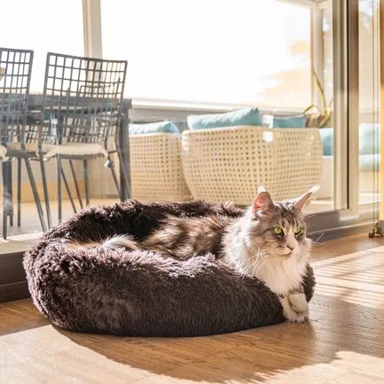 Ferplast CUDDLY 60 CUSHION BROWN Лежак для собак і котів: додаткове фото 3