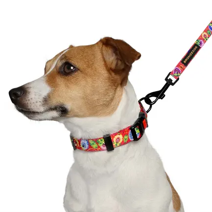 Повідець для собак BronzeDog Urban Folk нейлоновий кораловий XL