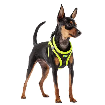 Ferplast KAORI P XS HARNESS BLACK/YELL Шлея,чорно-жовта: додаткове фото 4