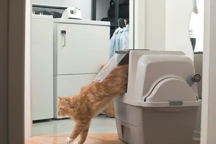 Закритий туалет Catit Smart Sift для котів (пластик): додаткове фото 4