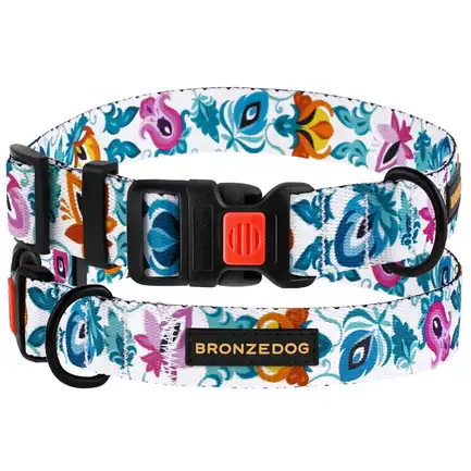 Нашийник для собак BronzeDog Urban Folk нейлоновий з пластиковою пряжкою білий M
