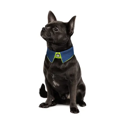 Комірець Pet Fashion «Bright» для собак, розмір S-М, синій: додаткове фото 2