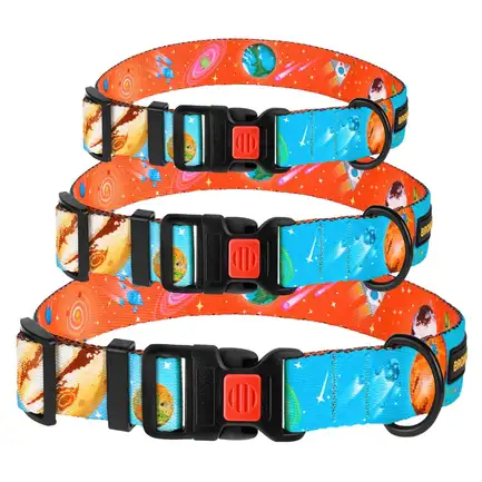 Нашийник для собак BronzeDog Urban Cosmos нейлоновий з пластиковою пряжкою Блакитний XL: додаткове фото 5