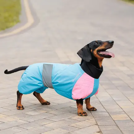 Комбінезон Pet Fashion Milly дівчинка для собак ML: додаткове фото 5