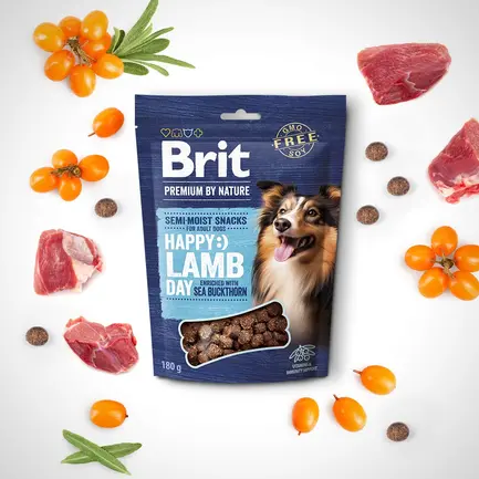 Ласощі для cобак Brit Premium Semi-moist Snacks Lamb with Sea Buckthorn напіввологі з ягням і обліпихою 180 г — Фото 2