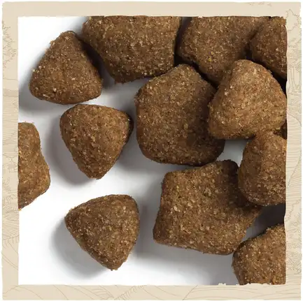Сухий корм DOG CHOW Adult 1+ для дорослих собак з ягням 2,5 кг: додаткове фото 8