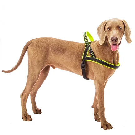 Ferplast SPORT DOG P L YELLOW Шлея, нейлон: додаткове фото 6