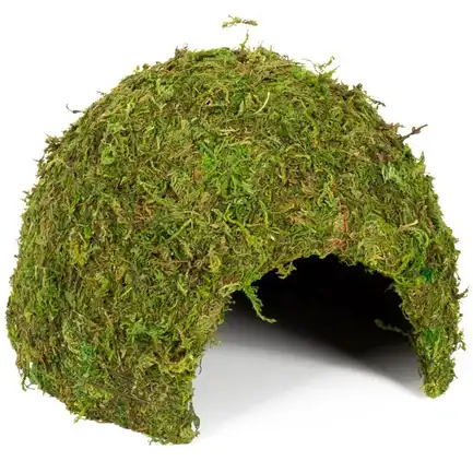 Схованка з моху Repti-Zoo Natural Mossy Dome L 22x17 (ERS25L): додаткове фото 4