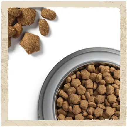 Сухий корм DOG CHOW Sensitive Adult 1+ для дорослих собак схильних до алергії з лососем 2,5 кг: додаткове фото 10