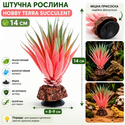 Штучна рослина Hobby Terra Succulent 1 14 см (37730) для тераріуму, акватераріуму та палюдаріуму: додаткове фото 2