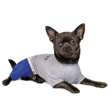 Костюм Pet Fashion «Оріон» для собак, розмір S, сірий: додаткове фото 3