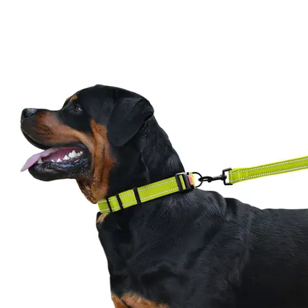 Повідець для Собак Bronzedog Active Нейлоновий зі Світловідбиттям Салатовий M: додаткове фото 7