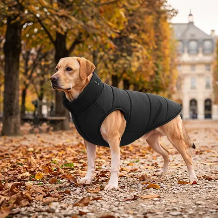 Курточка для собак WAUDOG Re-clothes двостороння, L65, A 62-65, B 87-89, C 60-65, чорний: додаткове фото 2