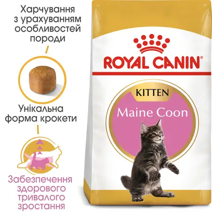 Сухий корм Royal Canin MAINECOON KITTEN для кошенят породи Мейн-кун 0,4 кг+KITTEN CIG 85g: додаткове фото 2
